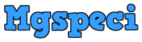 msg-special.com